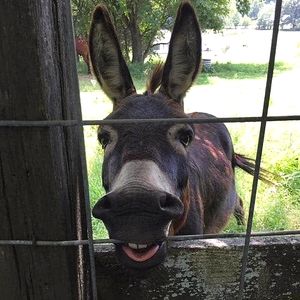 Meet your Posher, Heather